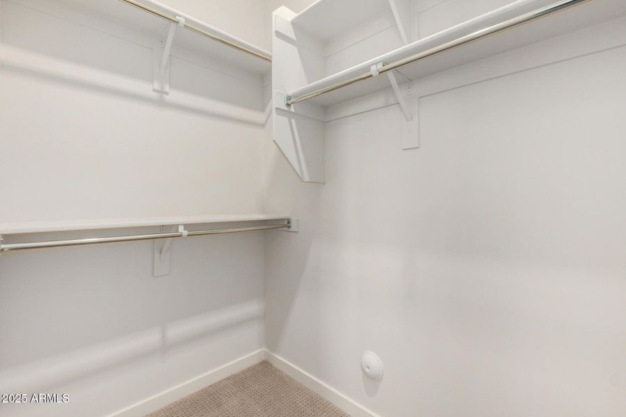 32 - Royal Palm 32 - Royal Palm