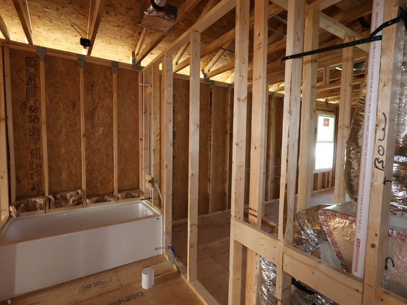 Framing Framing