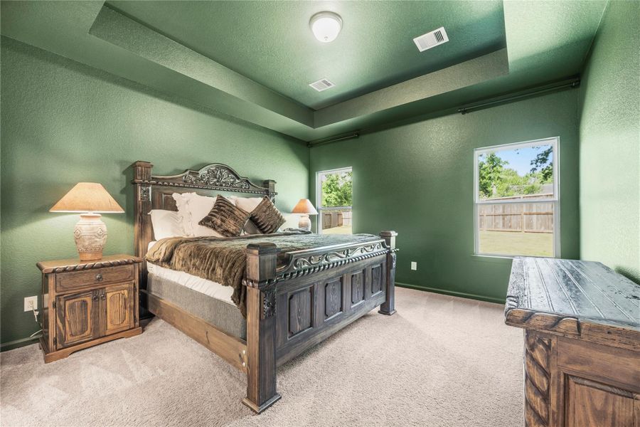 Downstairs primary retreat offers a tray ceiling, plush carpet, en-suite bathroom and plenty of room for large furniture. Downstairs primary retreat offers a tray ceiling, plush carpet, en-suite bathroom and plenty of room for large furniture.