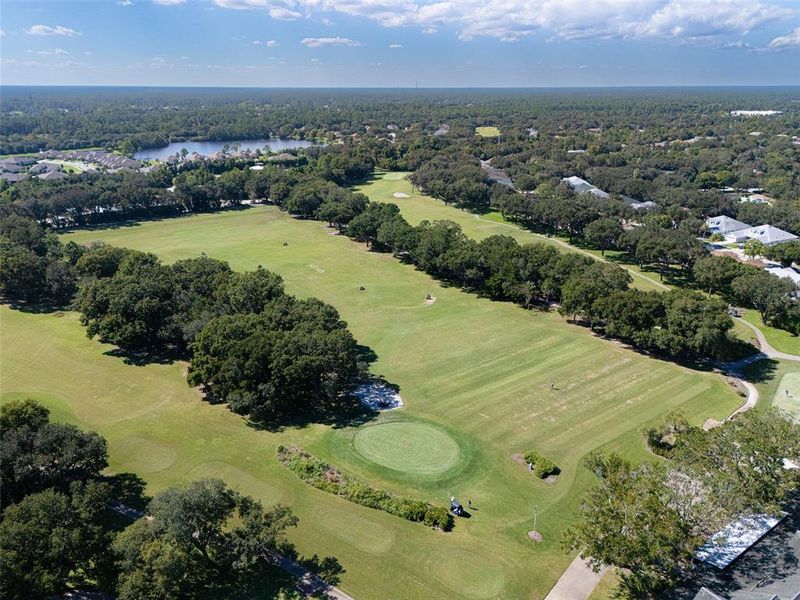Natural landscape and outdoor views near in Ormond Beach (Image 44). Natural landscape and outdoor views near in Ormond Beach (Image 44).
