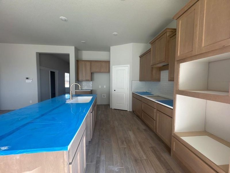 In-progress construction of a new home in Terra Escalante, Blue Ridge, TX (Image 13).