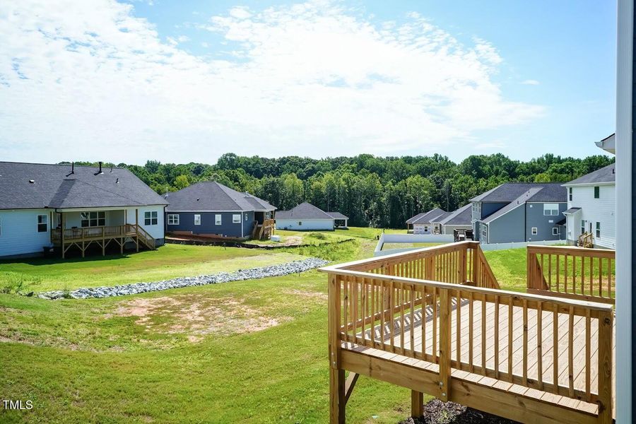 Back Yard 01 Back Yard 01