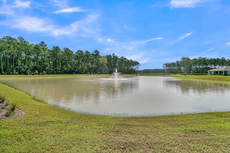 Natural landscape and outdoor views near  in Summerville (Image 48).