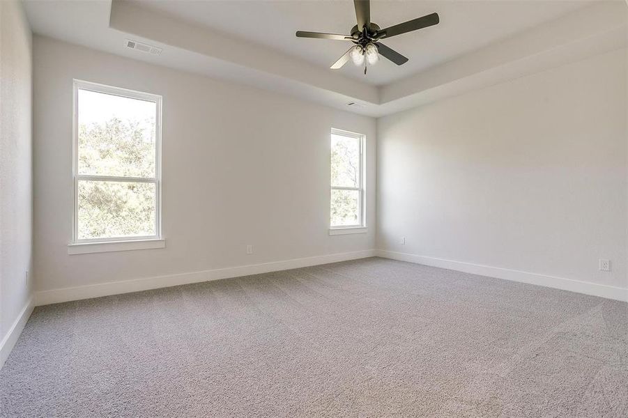 Spare room with a tray ceiling, ceiling fan, and a healthy amount of sunlight