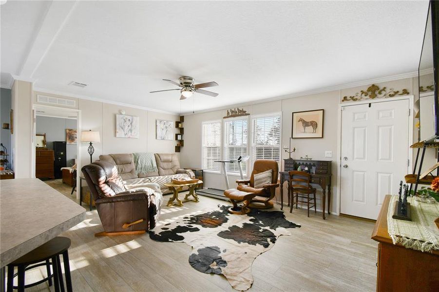 Furnished interior view inside a new home in , Ona (Image 28).