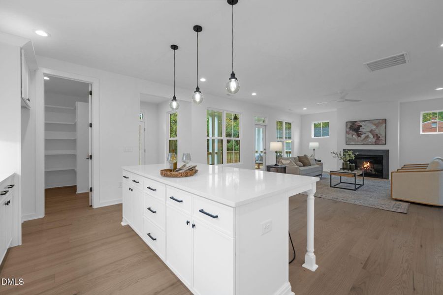 Kitchen Island + Pantry