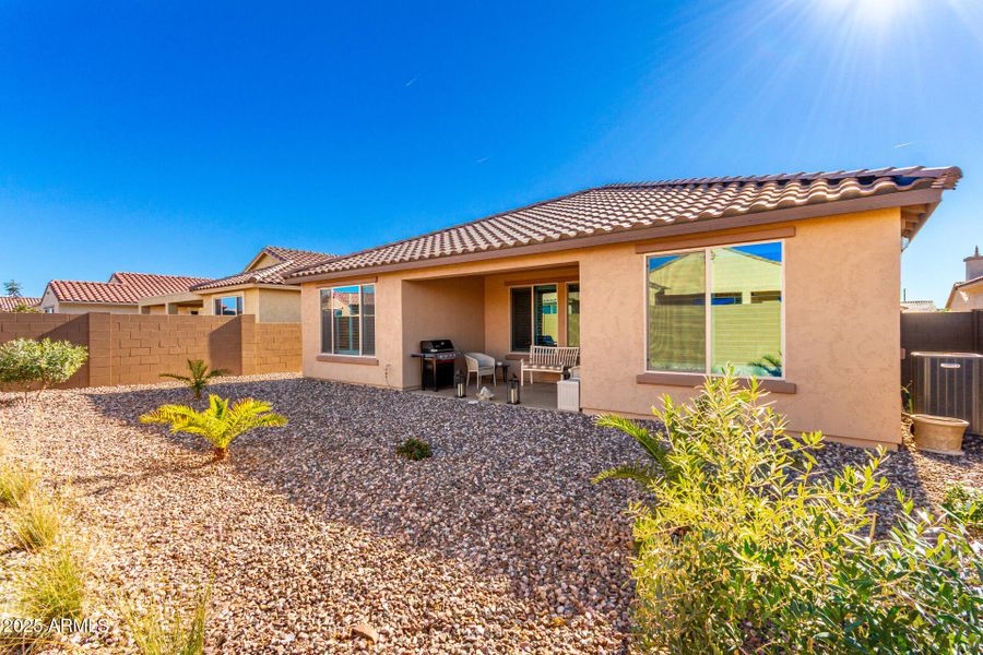 34-Cactus Wren 34-Cactus Wren