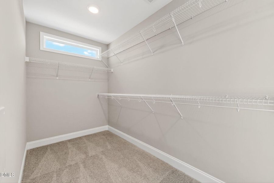 28-web-or-mls-DSC02729