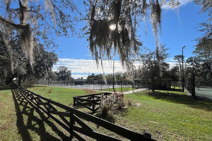 Natural landscape and outdoor views near Pine Meadows Reserve in Eustis (Image 5).