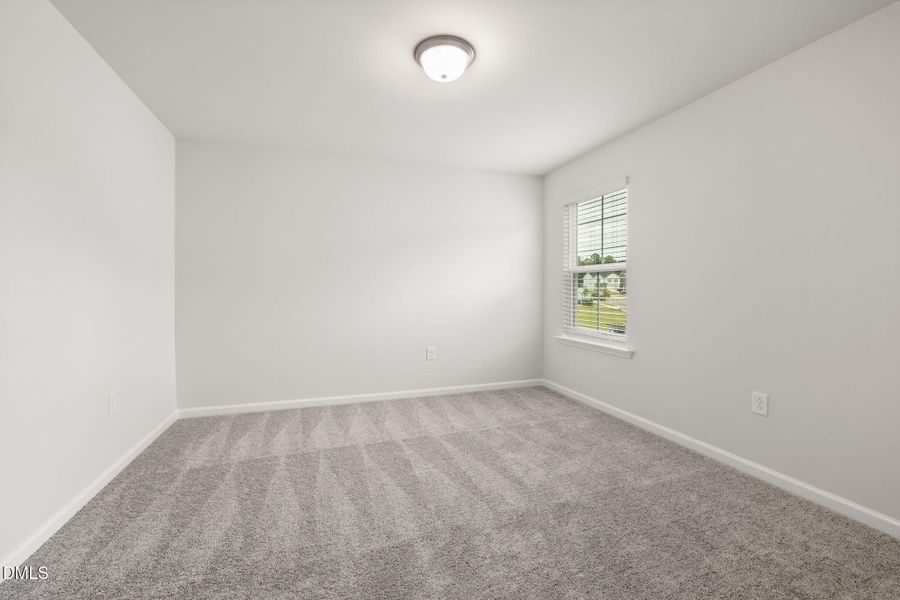 PRO HAMPTON LOT #77 PIC (18)