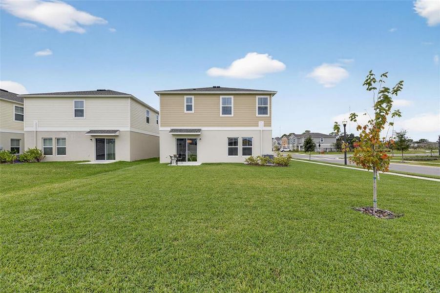 Exterior details and patio area of a home in Hawkstone, Lithia (Image 3).