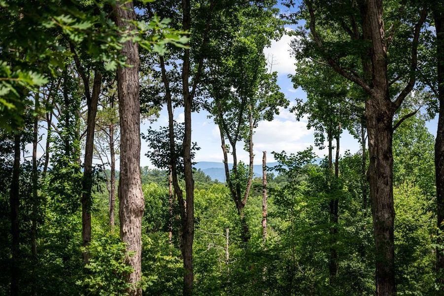 Natural landscape and outdoor views near  in Ellijay (Image 54).