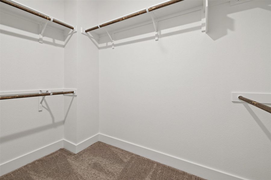 Spacious closet featuring carpet flooring Spacious closet featuring carpet flooring