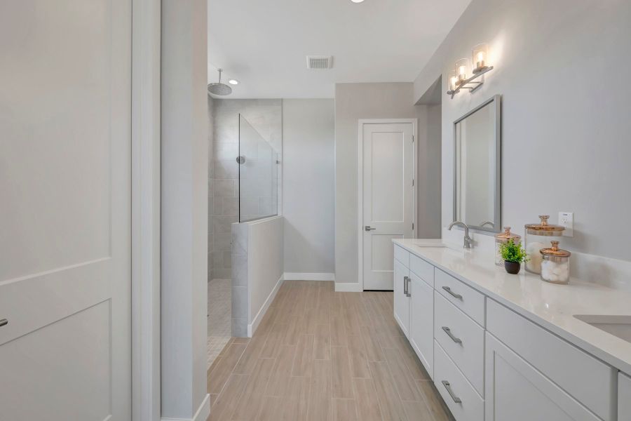 Owner's Bath