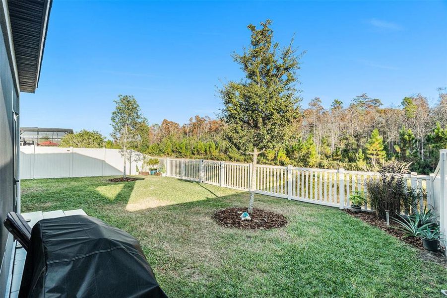 Exterior details and patio area of a home in Angeline Active Adult: Active Adult Manors, Land O' Lakes (Image 25).