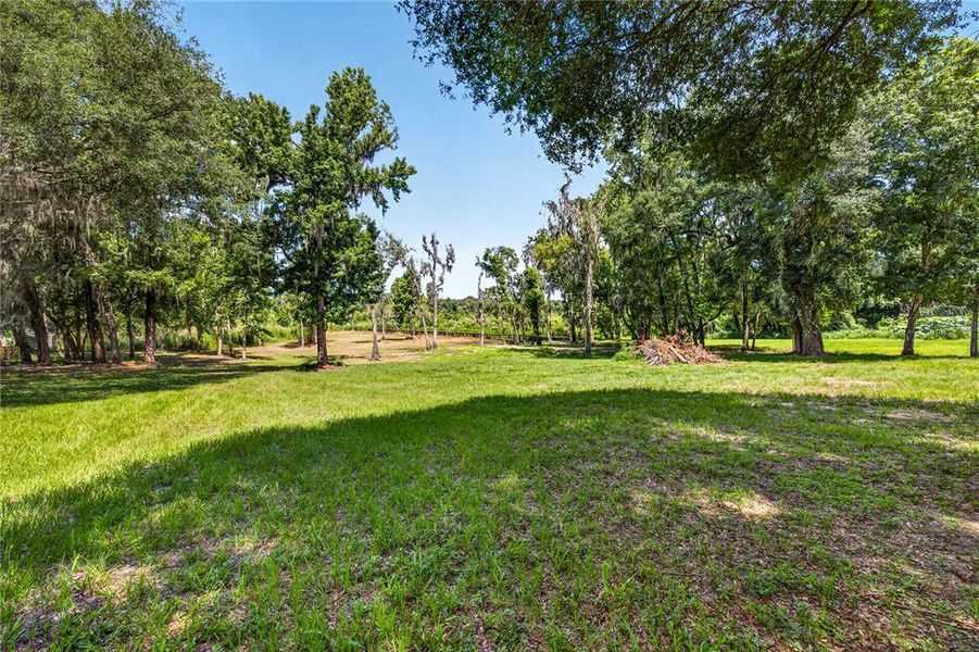 Natural landscape and outdoor views near  in Dade City (Image 65).