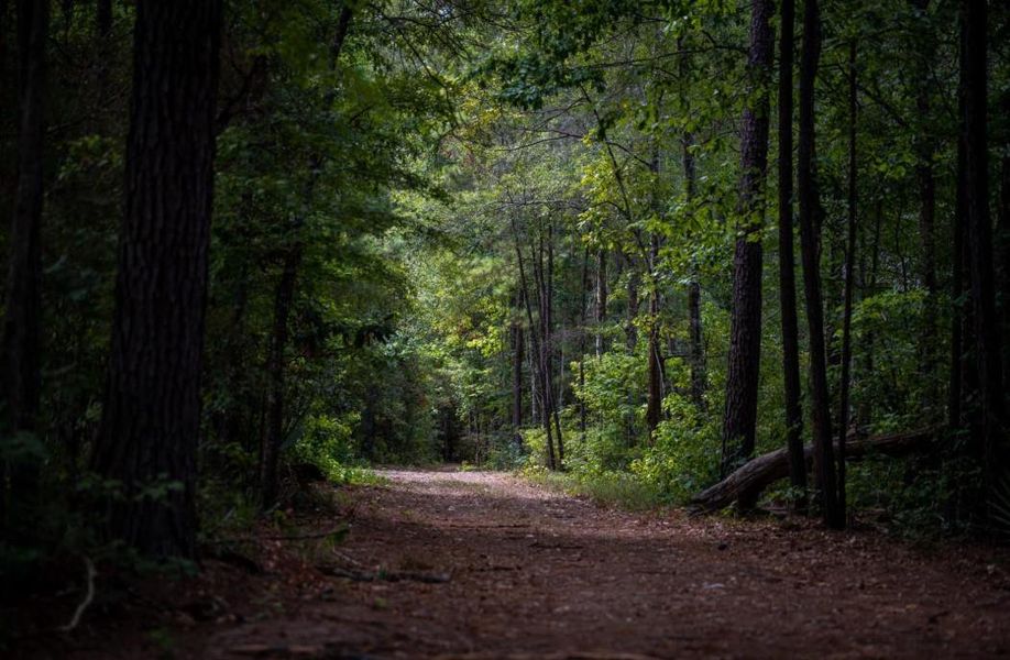 Image 25 of a home in The Highlands 50'. Image 25 of a home in The Highlands 50'.
