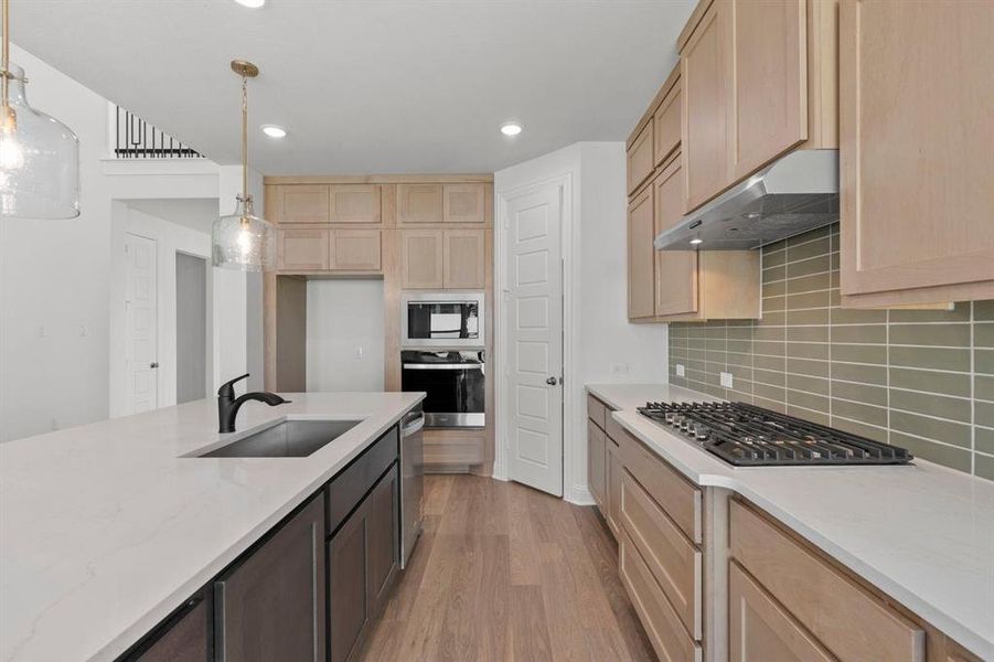 DAL_Painted Tree_Mineola_3916 Attwater Street (9)