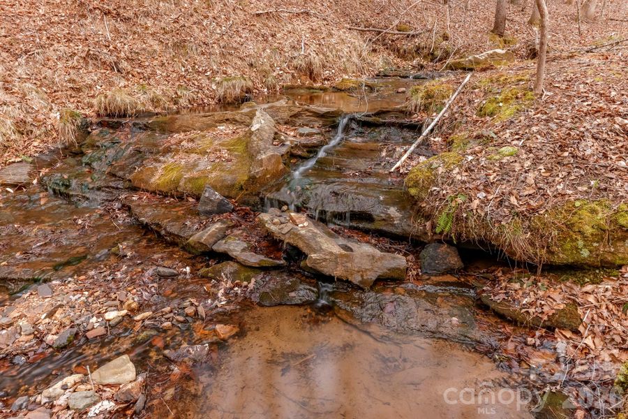 Natural landscape and outdoor views near  in Rutherfordton (Image 30).