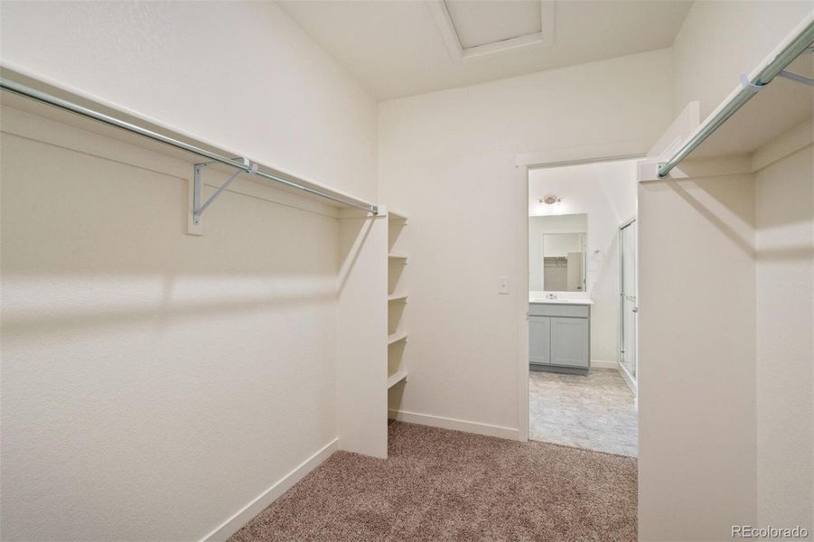 Spacious, unfurnished interior of a new home in Brighton Crossing, Brighton (Image 15). Spacious, unfurnished interior of a new home in Brighton Crossing, Brighton (Image 15).