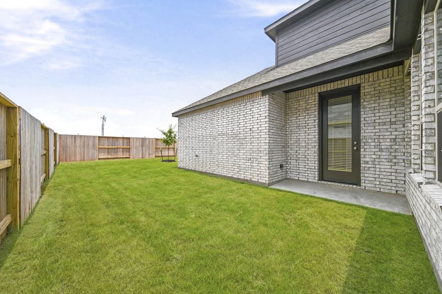 Backyard