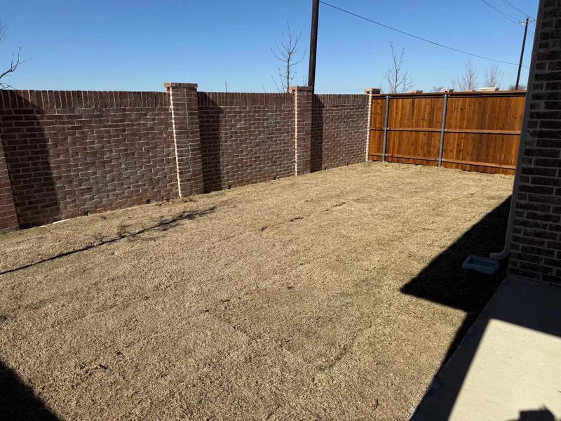 Backyard Construction Progress Backyard Construction Progress