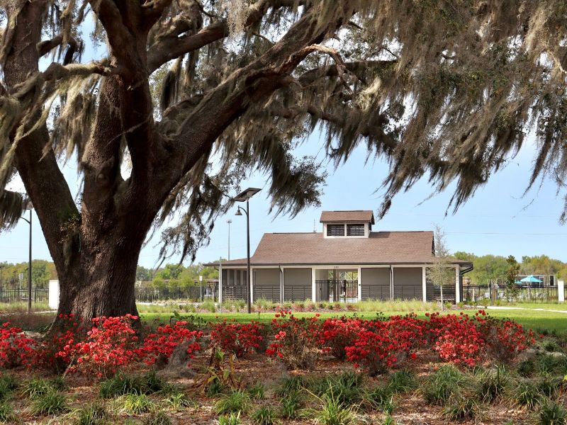 Community amenities in Wynnstone - Classic Series, Davenport (Image 9).