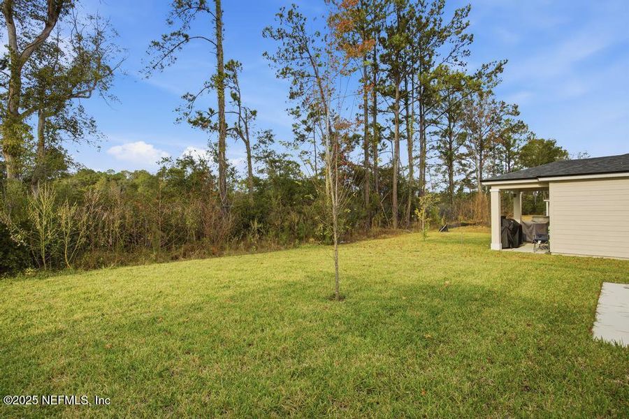 Exterior details and patio area of a home in Kings Preserve, Jacksonville (Image 24).