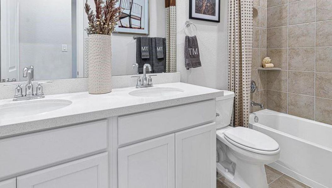 REPRESENTATIVE PHOTO