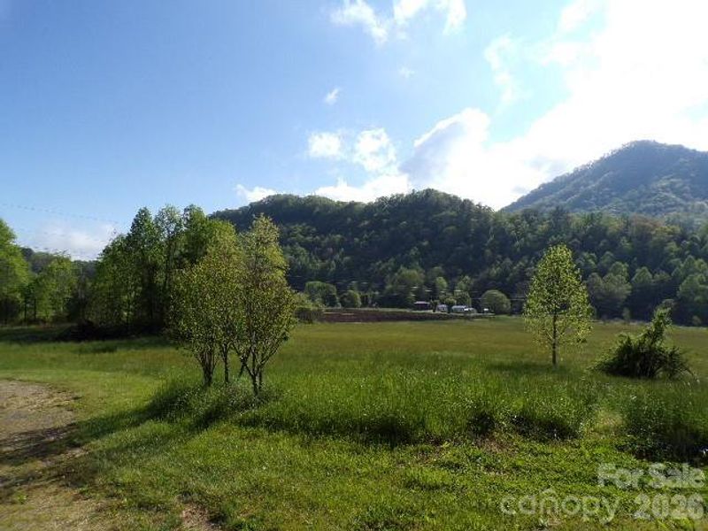 Pasture view from driveway