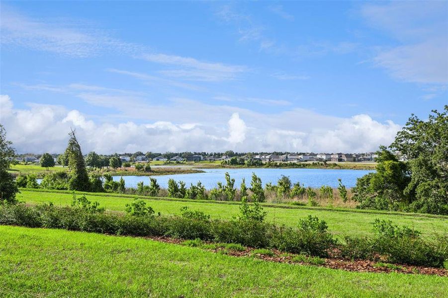 Natural landscape and outdoor views near  in Winter Garden (Image 49).
