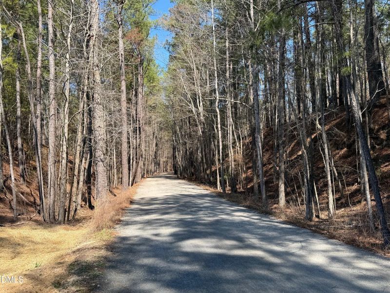 American Tobacco Trail 1