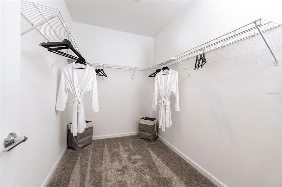Spacious, unfurnished interior of a new home in , Clermont (Image 21).