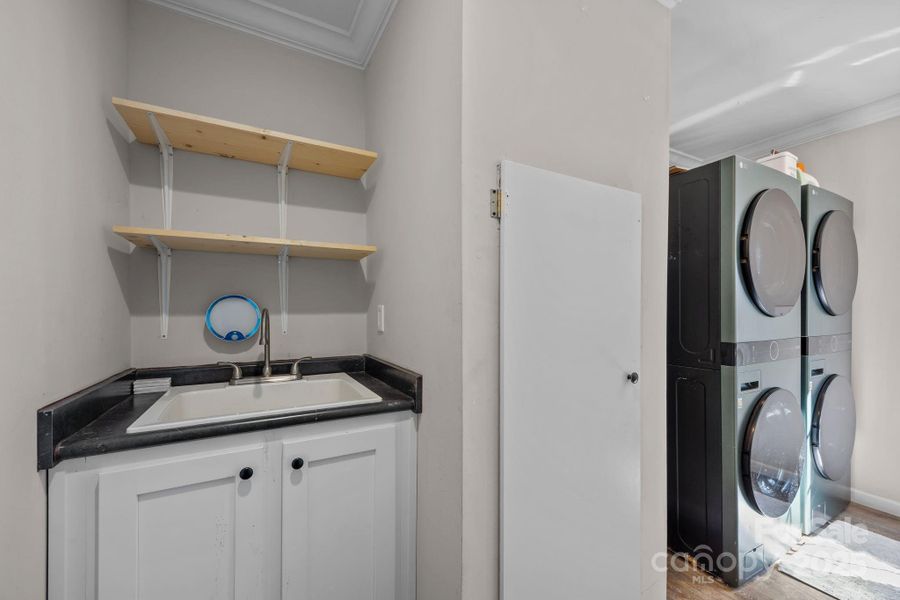 Utility Sink and Storage