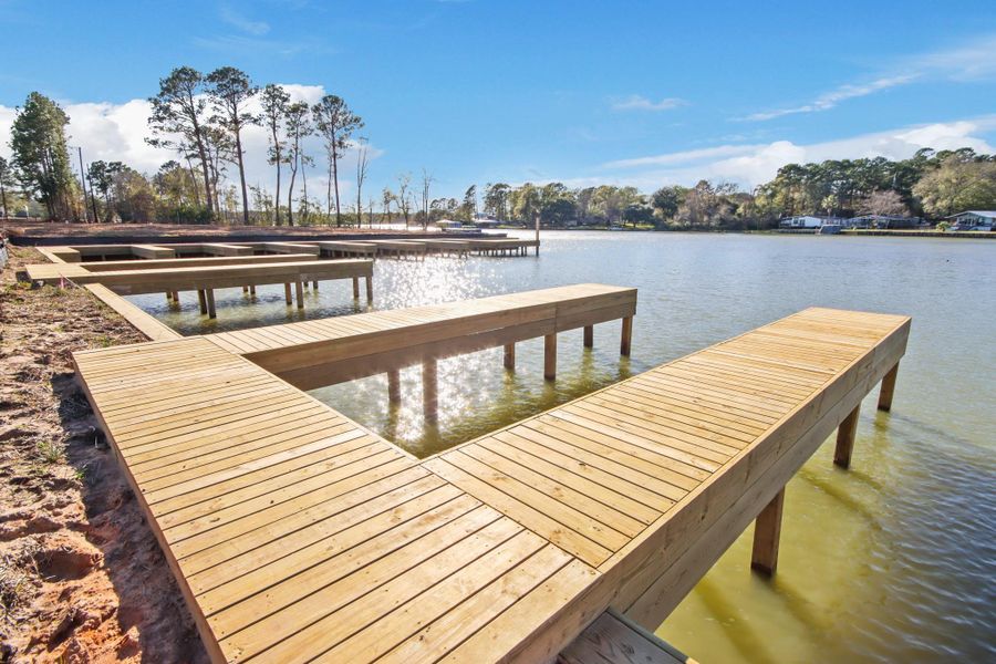 Natural landscape and outdoor views near Lake Conroe Cove in Willis (Image 6).