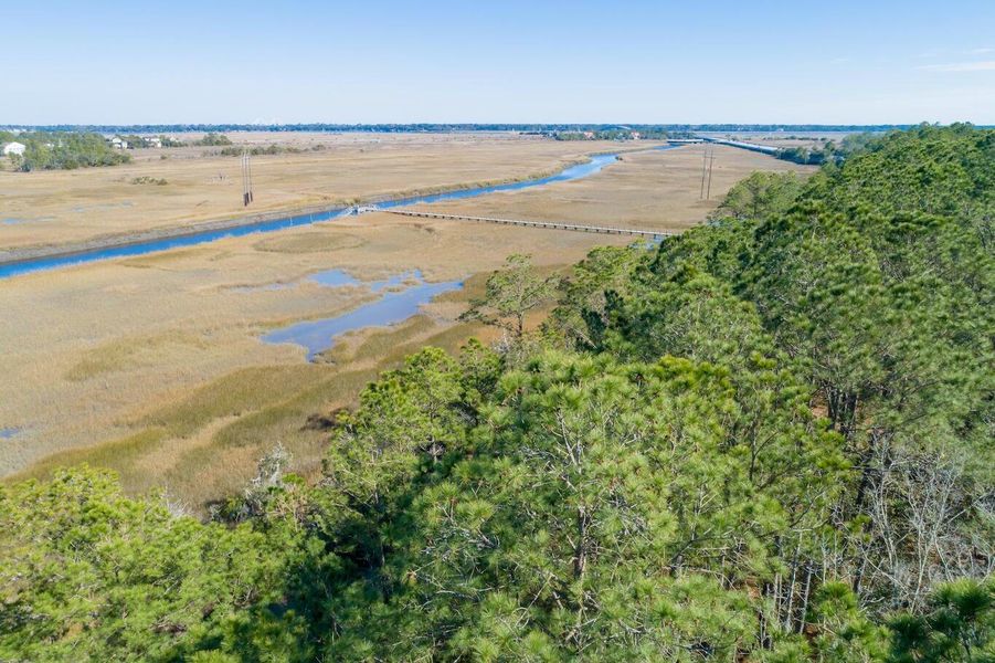 Natural landscape and outdoor views near  in Johns Island (Image 59).