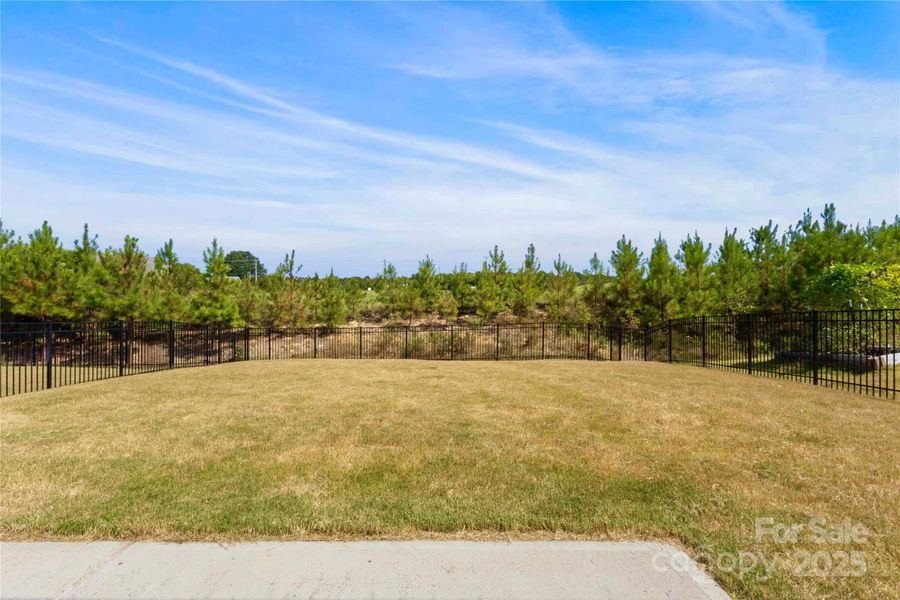 Natural landscape and outdoor views near  in Indian Trail (Image 28).