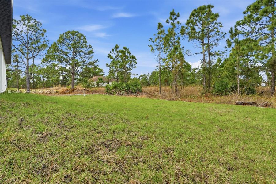 Natural landscape and outdoor views near  in Lehigh Acres (Image 34).