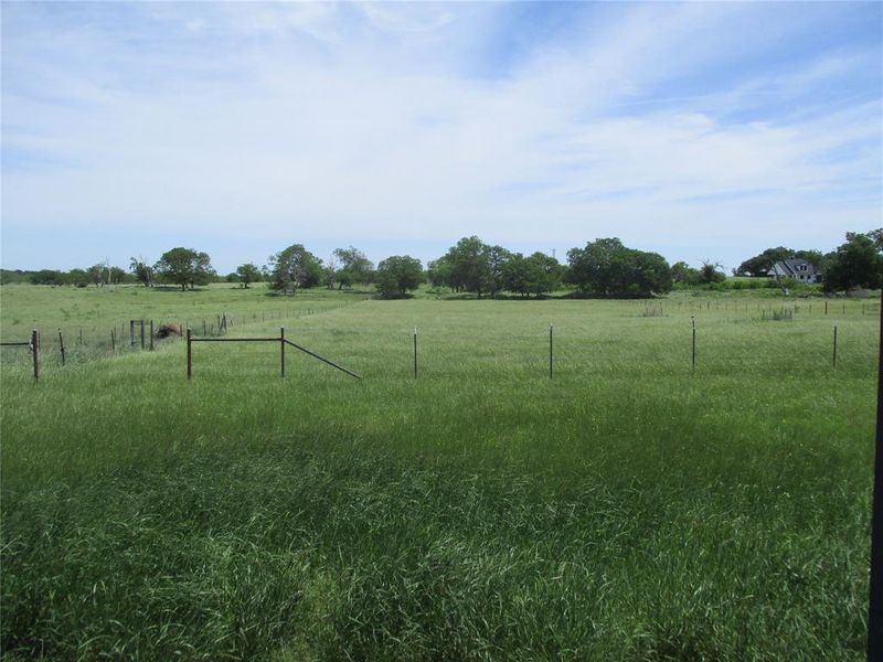 Natural landscape and outdoor views near  in Kaufman (Image 27).