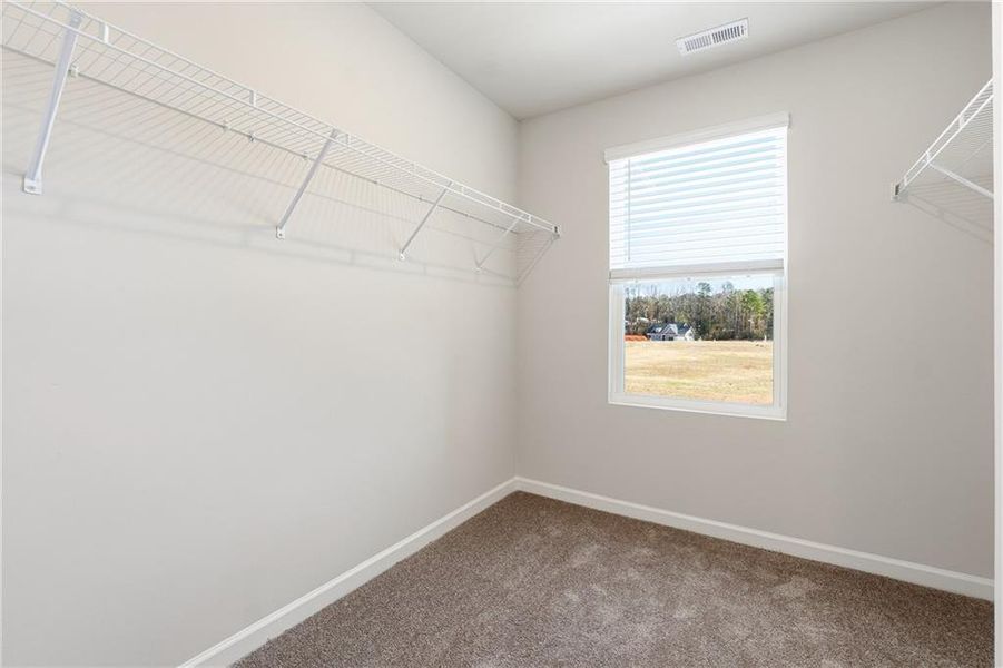 Spacious, unfurnished interior of a new home in Carolina, Palmetto (Image 23).