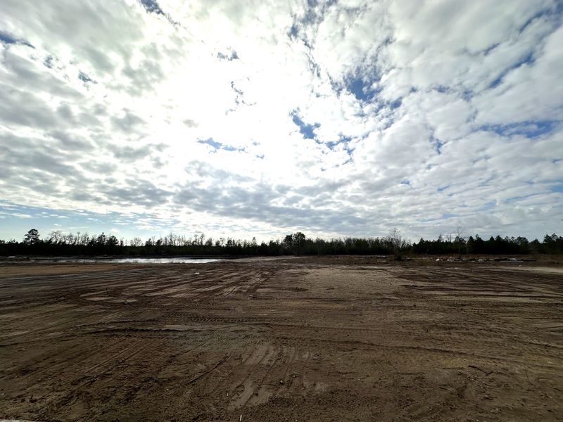 Site preparation for new homesites in Tibet Road at Sassafras, Allenhurst (Image 19).