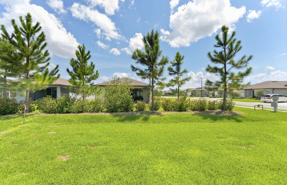 Natural landscape and outdoor views near Del Webb Stone Creek in Ocala (Image 24). Natural landscape and outdoor views near Del Webb Stone Creek in Ocala (Image 24).
