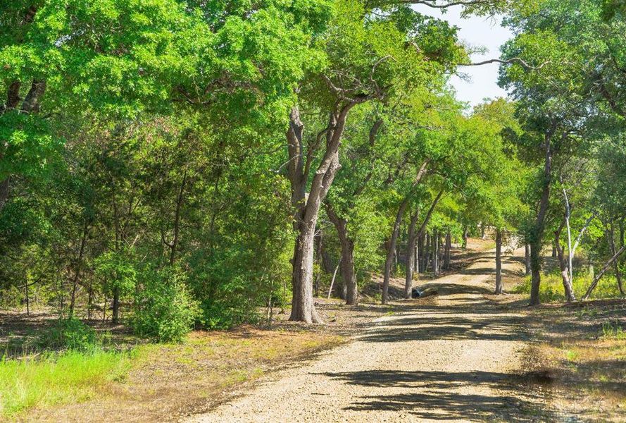 Natural landscape and outdoor views near in Austin (Image 24). Natural landscape and outdoor views near in Austin (Image 24).