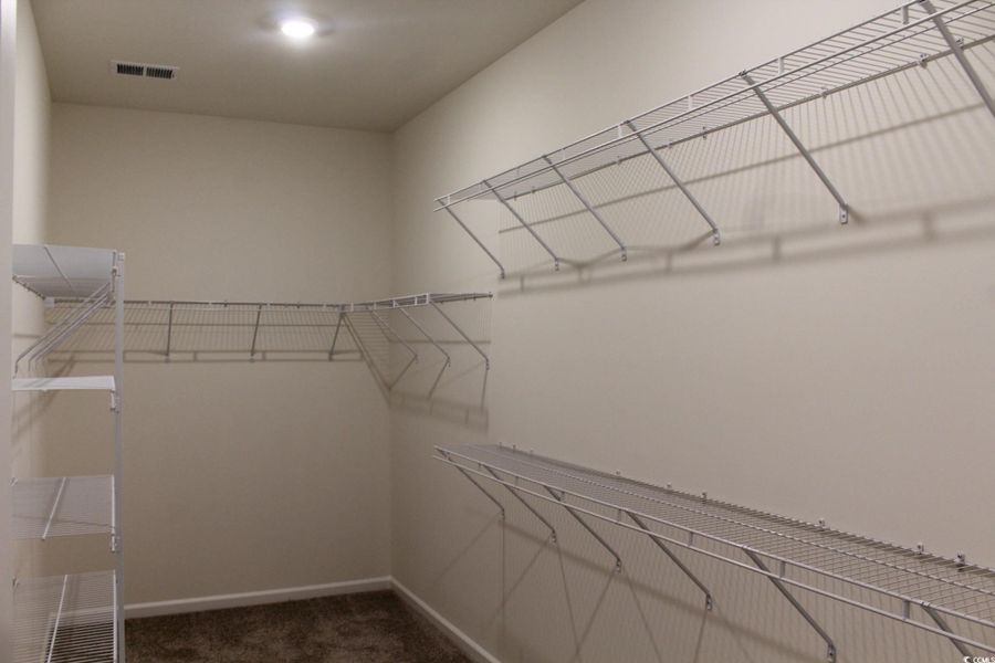 Spacious closet featuring dark carpet Spacious closet featuring dark carpet