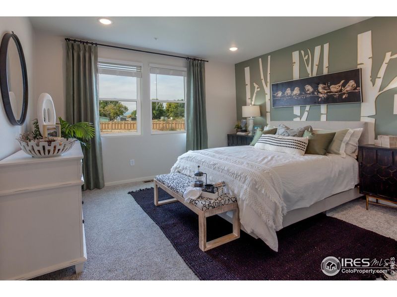 EXAMPLE PHOTO: MASTER BEDROOM