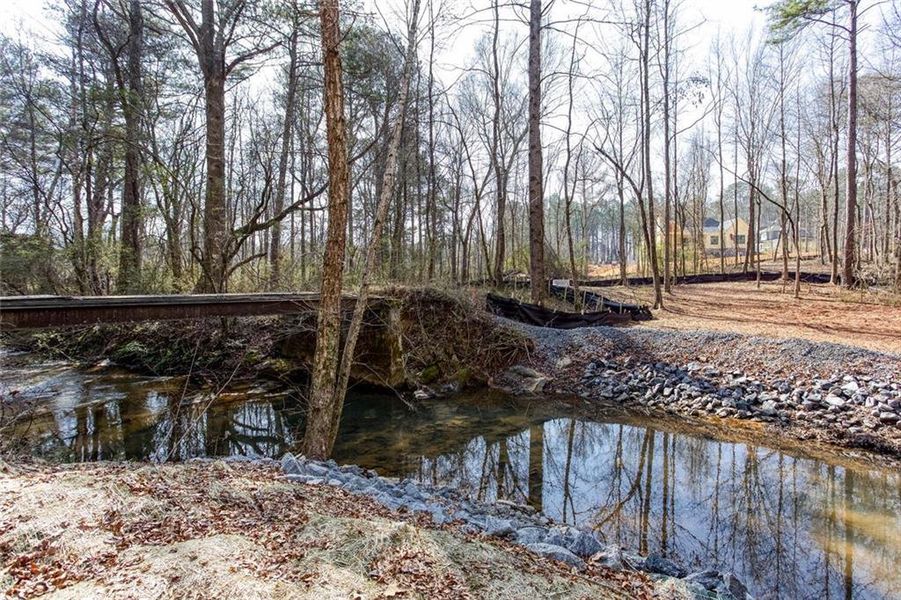 Natural landscape and outdoor views near  in Powder Springs (Image 45).