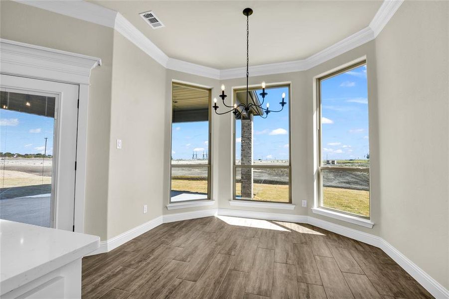 Unfurnished dining area with ornamental molding, dark wood-type flooring, and plenty of natural light