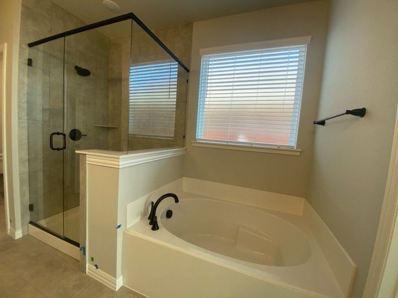 Image 16 of a home in Morningstar. Image 16 of a home in Morningstar.