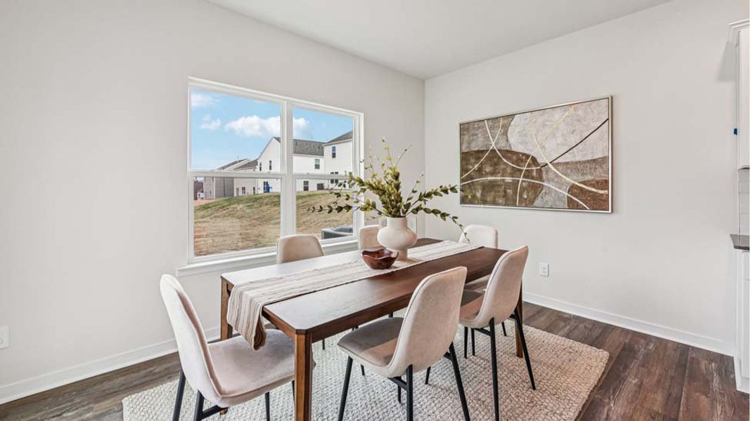 Representative furnished interior of a home built from the Darwin by D.R. Horton in Reedy Creek Preserve, Charlotte (Image 9).