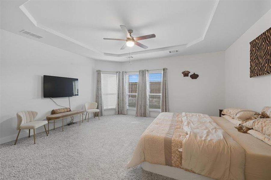 Bedroom featuring a tray ceiling, carpet floors, and a ceiling fan Bedroom featuring a tray ceiling, carpet floors, and a ceiling fan